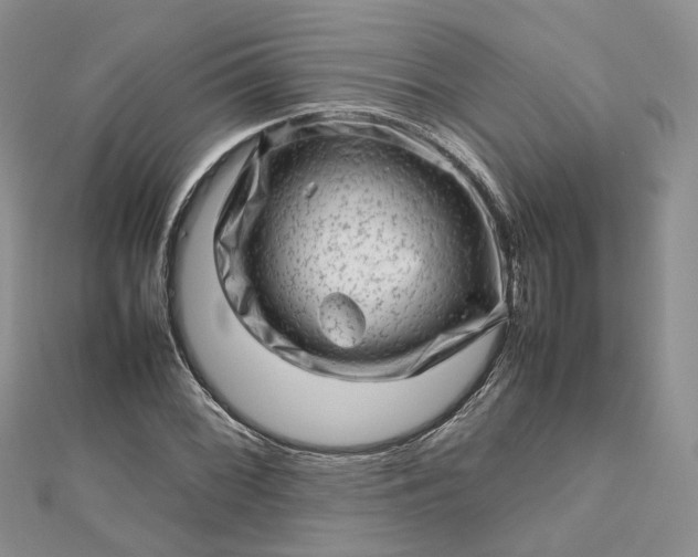 X0000112811068200909041449
