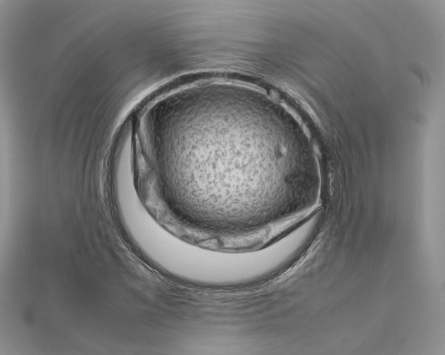 X0000112811069200909041449