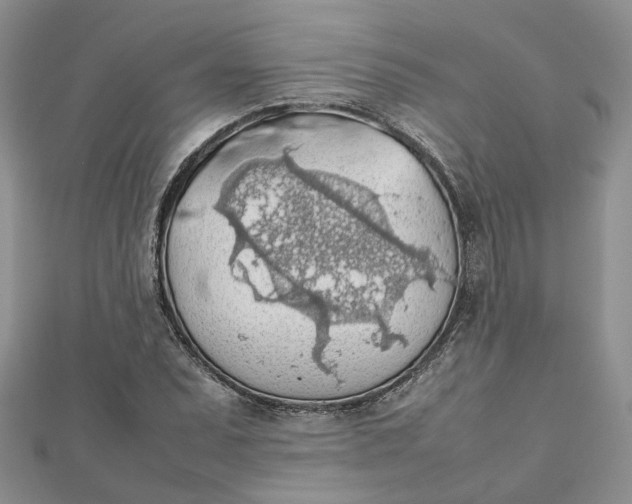 X0000112811071200909041449