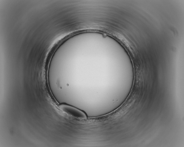 X0000112811072200909041449