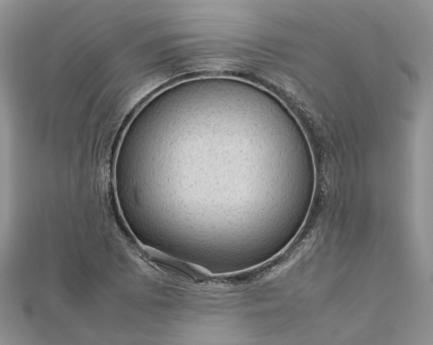 X0000112811073200909041449