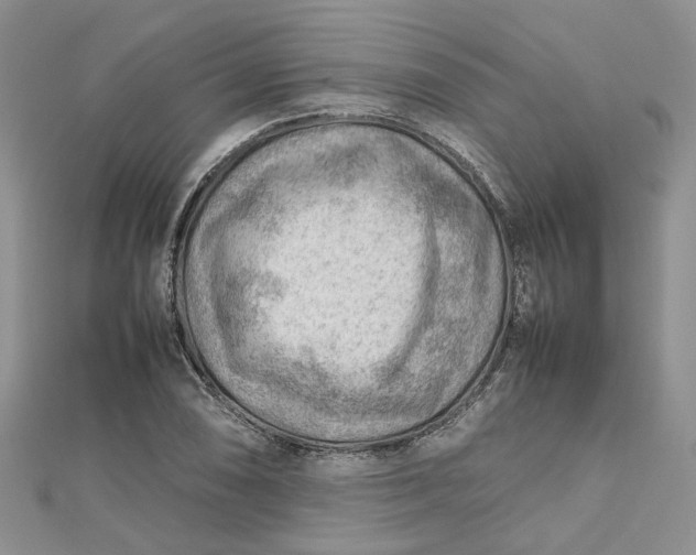 X0000112811074200909041449