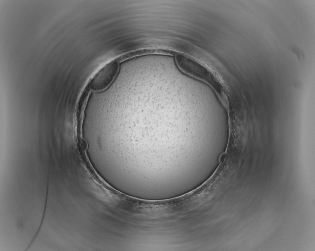 X0000112811076200909041449