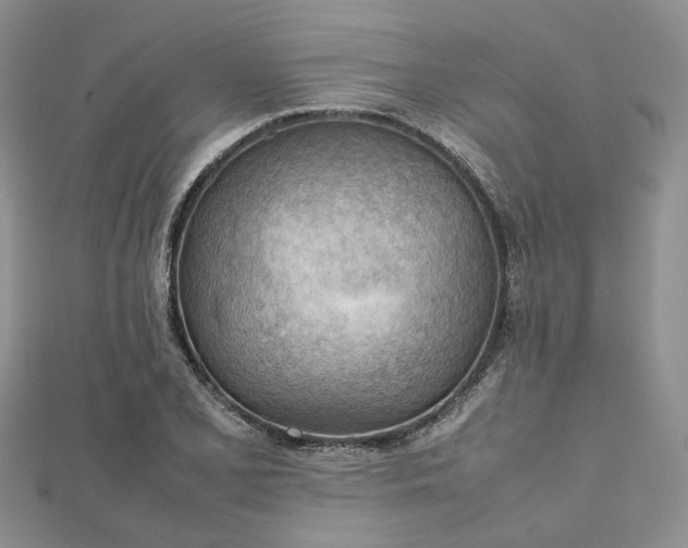X0000112811077200909041449