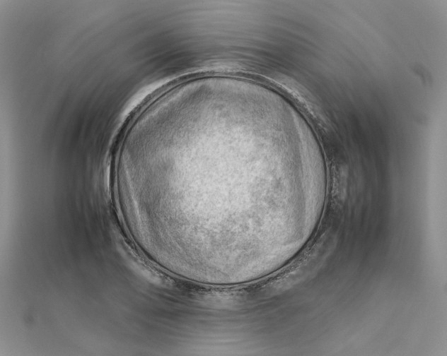 X0000112811078200909041449