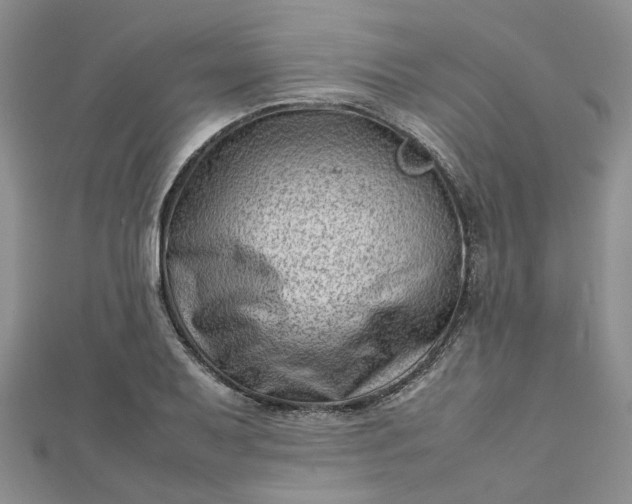 X0000112811079200909041449