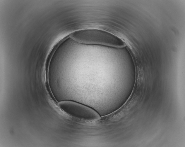 X0000112811080200909041449
