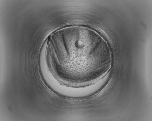 X0000112811081200909041449