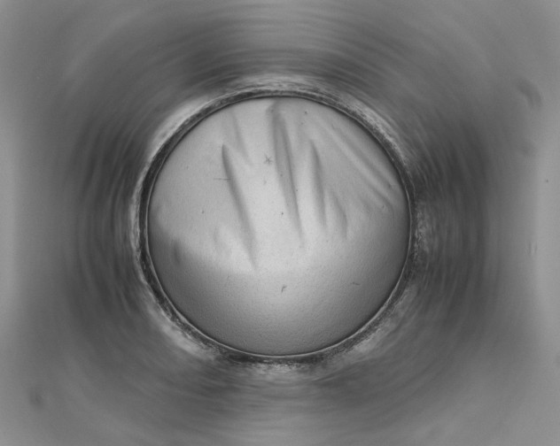 X0000112811082200909041449