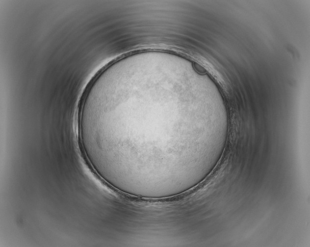 X0000112811084200909041449