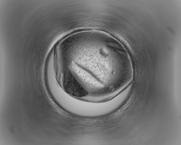 X0000112811085200909041449