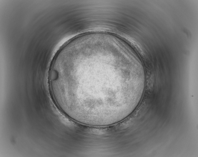 X0000112811086200909041449