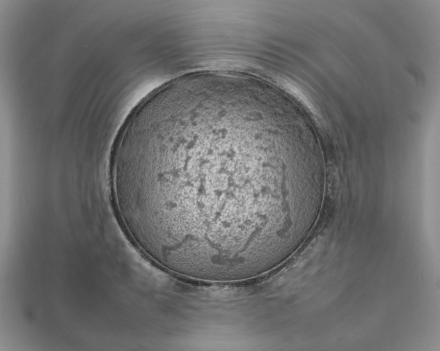 X0000112811087200909041449