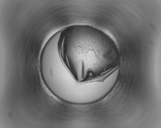 X0000112811088200909041449