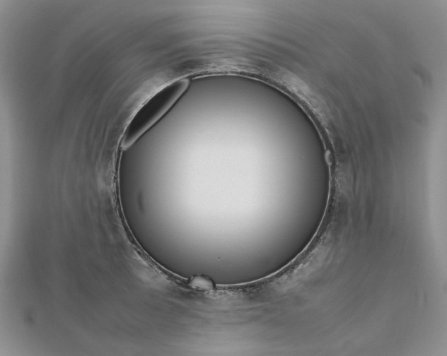 X0000112811089200909041449