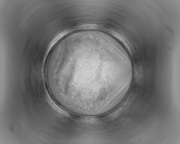 X0000112811090200909041449