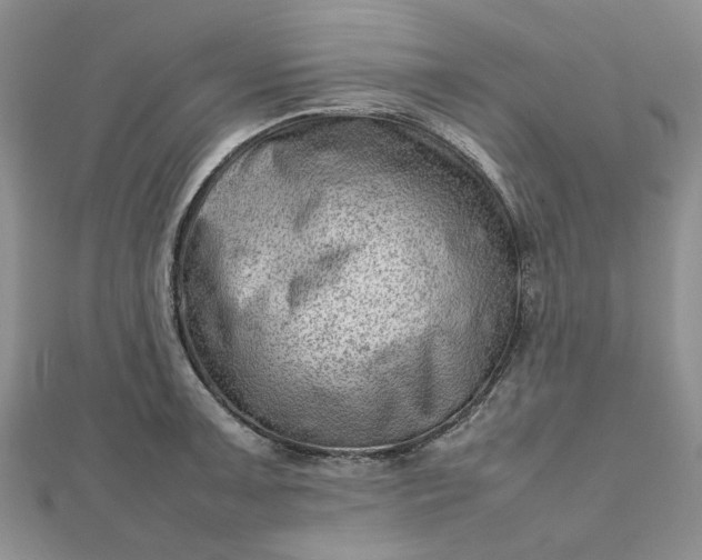 X0000112811091200909041449