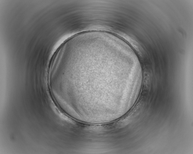 X0000112811094200909041449