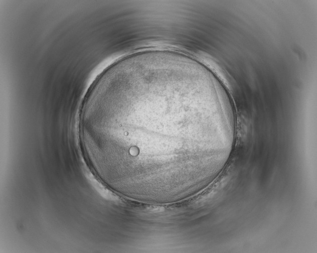 X0000112811098200909041449