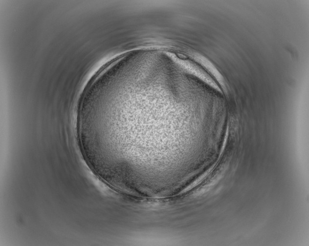 X0000112811099200909041449