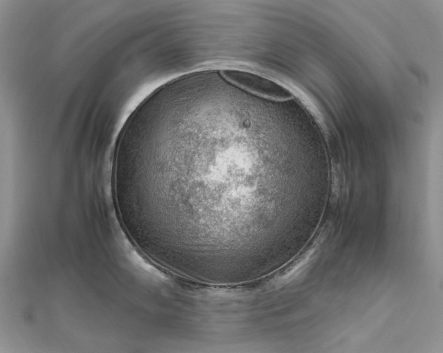X0000112811102200909041449