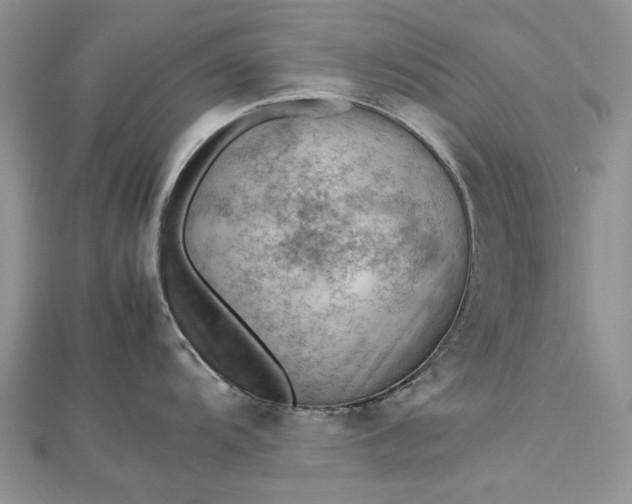 X0000112811104200909041449