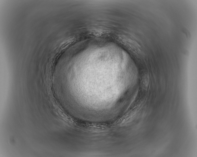 X0000112811105200909041448