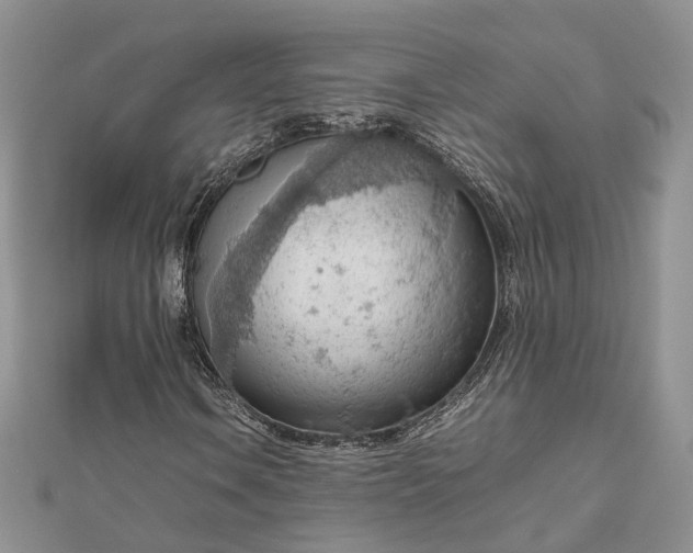 X0000112811106200909041448