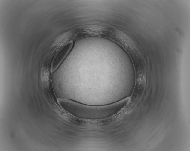 X0000112811108200909041448