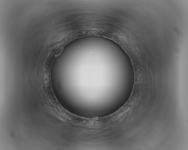 X0000112811109200909041448