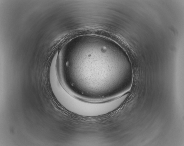 X0000112811110200909041448