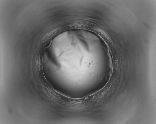 X0000112811111200909041448