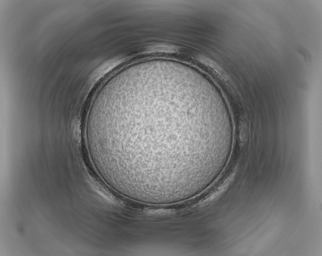 X0000112811113200909041448
