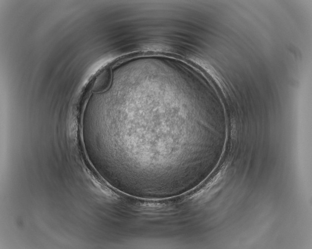 X0000112811115200909041448