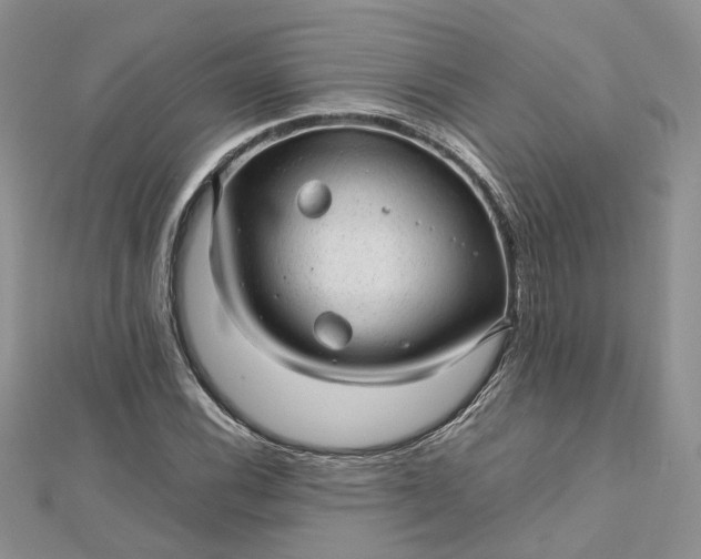 X0000112811116200909041448