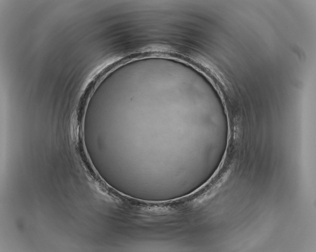 X0000112811117200909041448