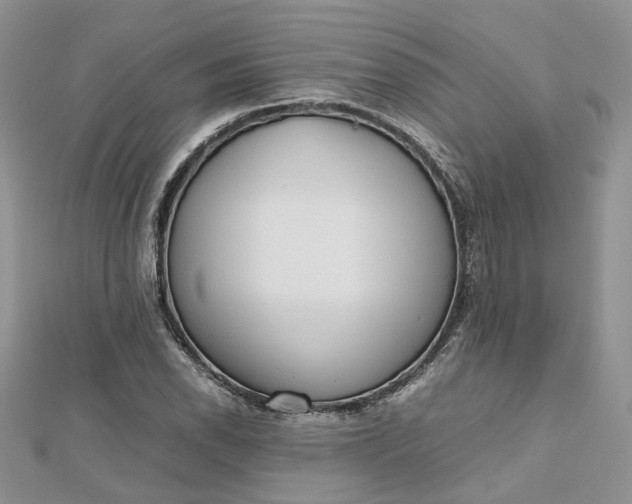 X0000112811118200909041448