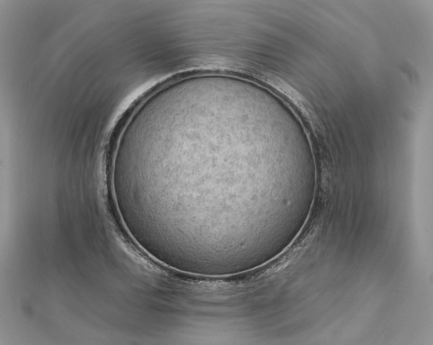 X0000112811120200909041448