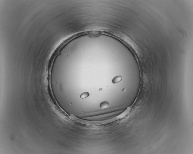 X0000112811124200909041448
