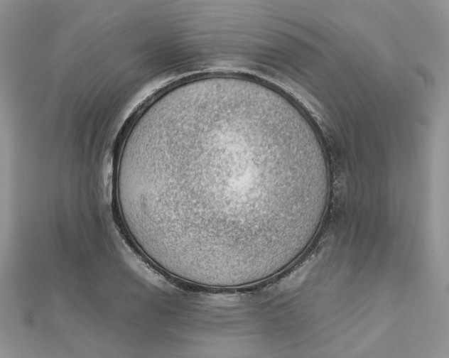 X0000112811126200909041448