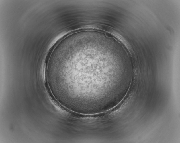 X0000112811127200909041448
