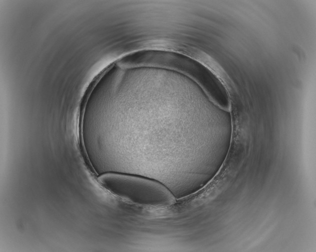 X0000112811128200909041448