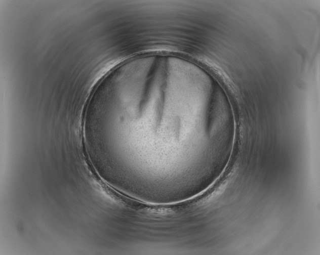 X0000112811129200909041448