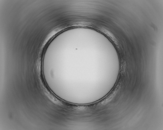 X0000112811130200909041448