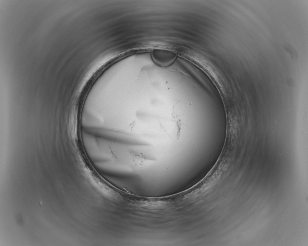 X0000112811131200909041448