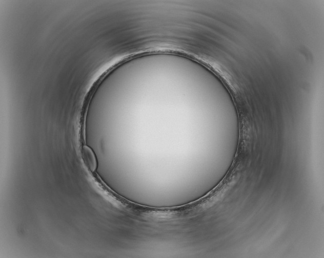 X0000112811134200909041448