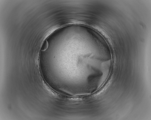 X0000112811137200909041448