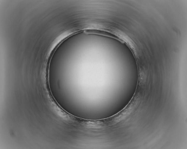 X0000112811138200909041448