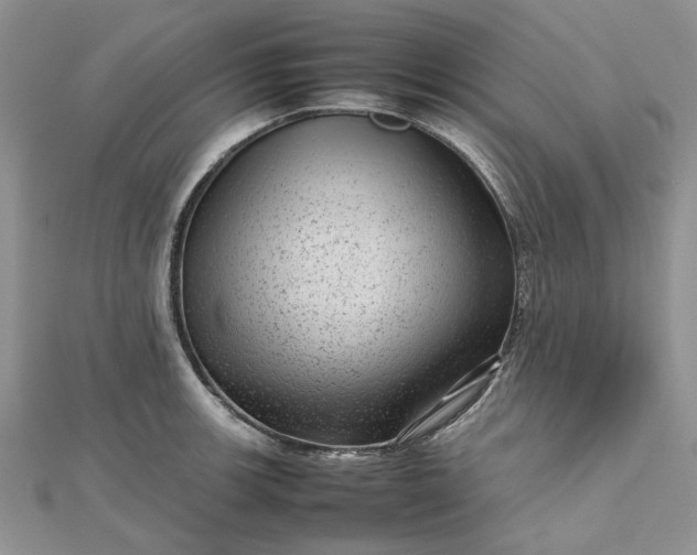 X0000112811139200909041448
