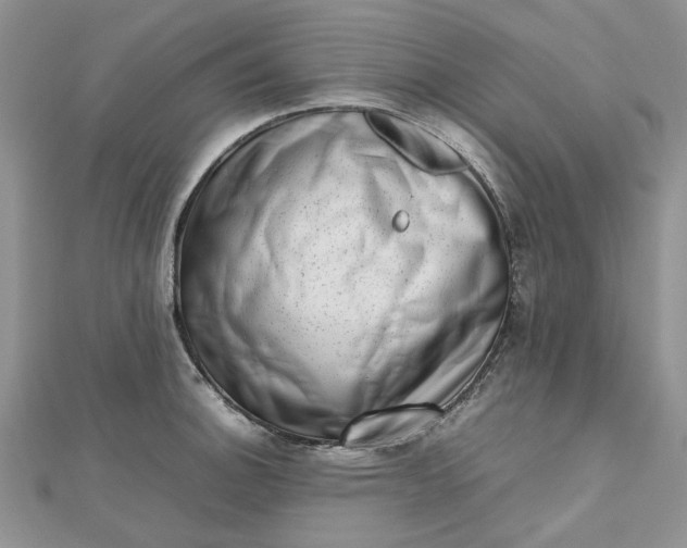 X0000112811140200909041448